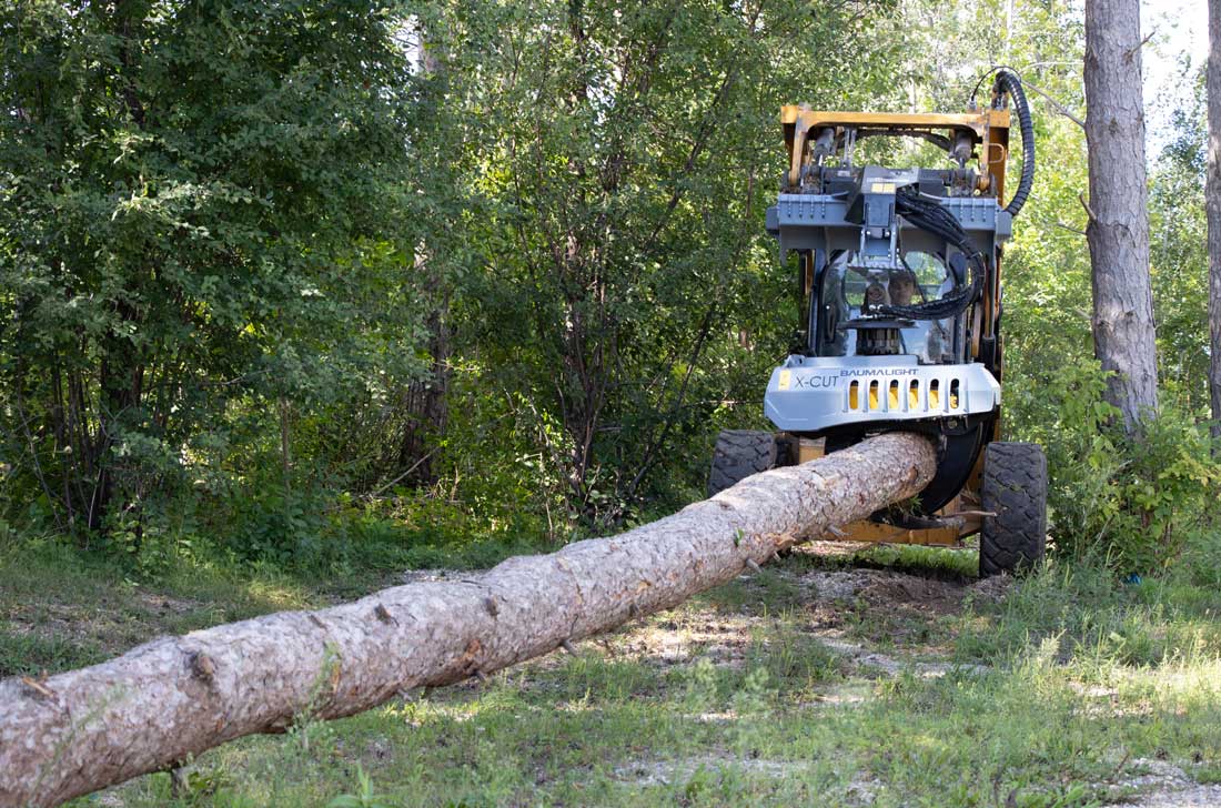 Log Grapples 10 Log Grapples - Image 10